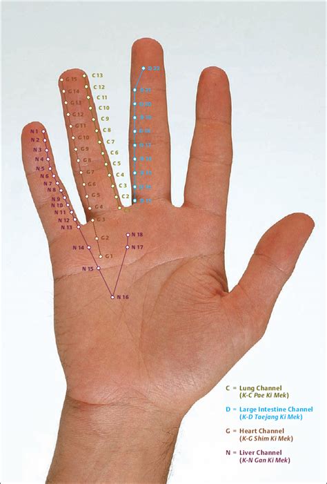 Korean Hand Acupuncture Musculoskeletal Key
