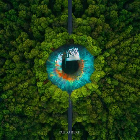 Eyes Of Nature By Paulo Bert On Deviantart