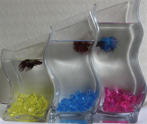 This betta fish tank, with a 1.4 gallons capacity, is suitable for the majority of leafy vegetables, herbs, and indoor houseplants. Diy Betta Aquarium | Joy Studio Design Gallery - Best Design