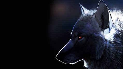 Furry Wolf Wallpaper 75 Images