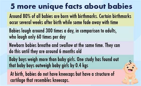 Baby Facts 15 Interesting Facts About Babies You Did Not Know