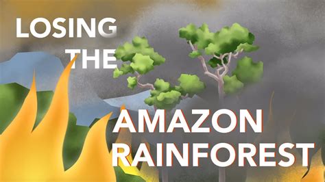 Amazon Rainforest How We Might Lose The Amazon Rainforest Youtube