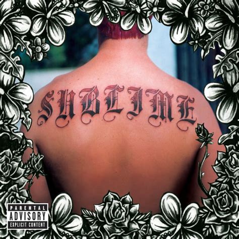 Sublime Turns 20 Stereogum