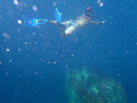 Curacao Underwater Marine Park Snorkeling