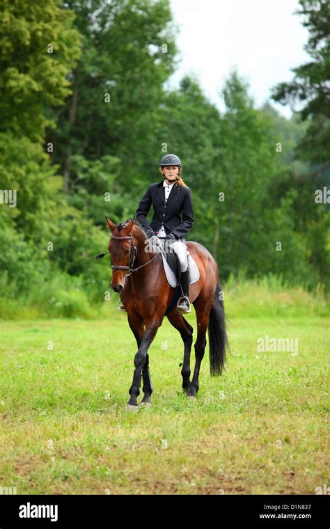 Girl Horseback Riding English Style Stock Photo Alamy
