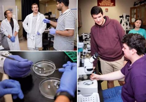 In The Lab University Of Alabama Students Help Inspire Next Wave Of