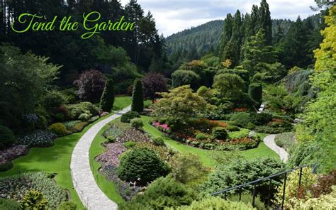 Tend The Garden A Divine Purpose Heartwings Blog