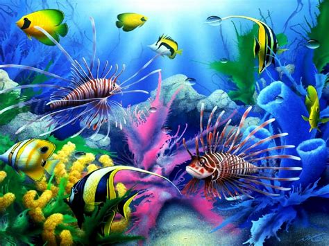 Moving Fish Wallpaper 57 Images