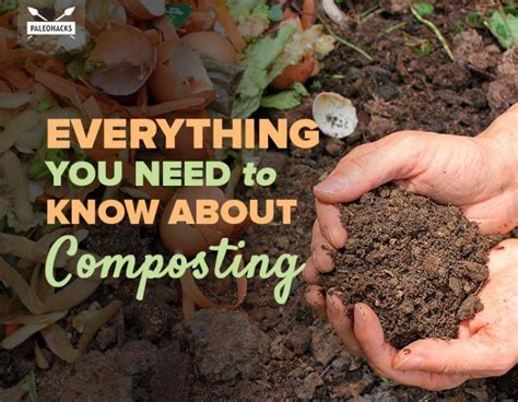 How To Compost Everything You Need To Know About Composting