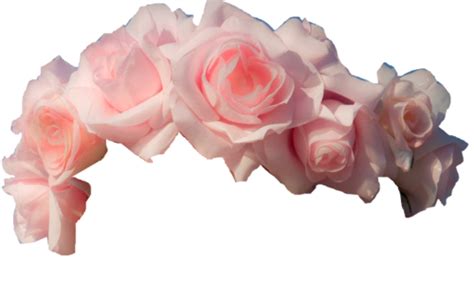 Flower Crown Png Flower Crown Png Transparent Free For Download On