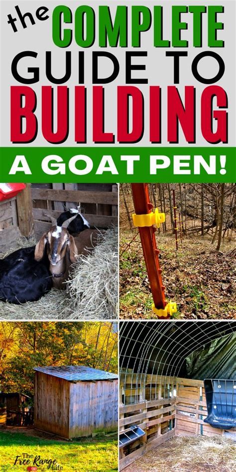 How To Build A Goat Pen Everything You Need To Know Artofit