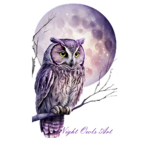 Contact Night Owls Art