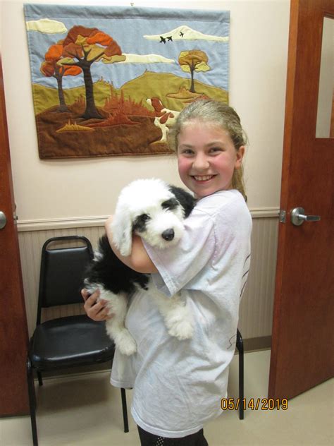 The Vet Clinic - New faces 🌷🌷