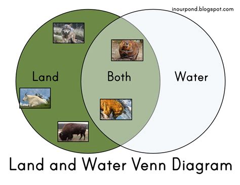 Land And Water Venn Diagram In Our Pond