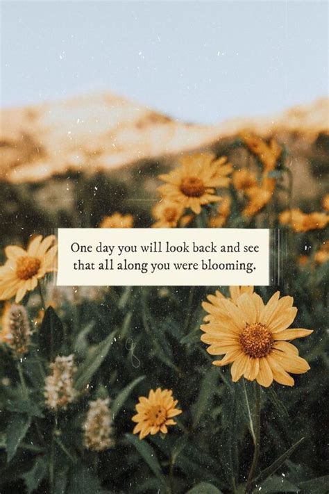Red flower quotations to help you with sunflower and wildflower: VSCO - vscoquotess- | Nature