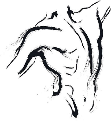 Dissection of a male torso. Best Charcoal Drawing Illustrations, Royalty-Free Vector Graphics & Clip Art - iStock