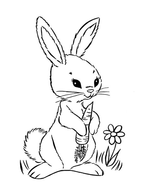 Arctic Hare Coloring Page Coloring Home