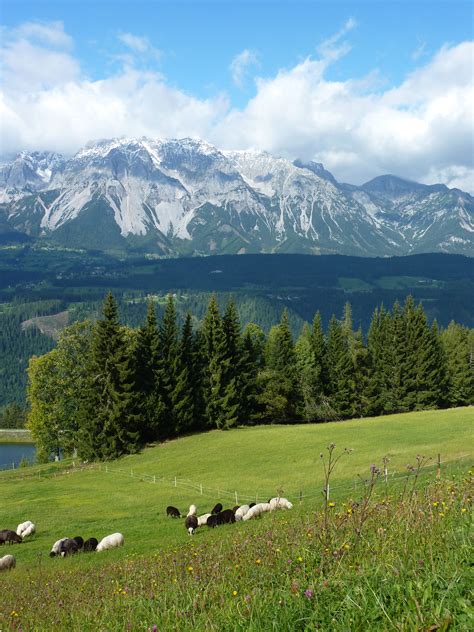 Kostenlose Foto Landschaft Natur Gras Wildnis Gehen Berg Wiese