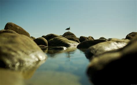 Wallpaper Sunlight Landscape Sea Water Rock Nature Reflection
