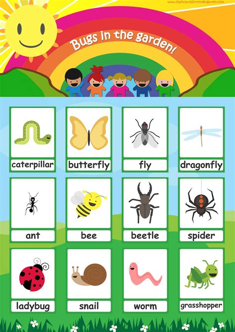 Bugs Flashcards Simple Colorful Insect Flashcards For Your Classroom