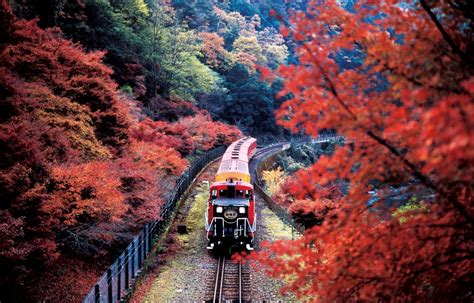 Riding The Rails The Sagano Scenic Railway All About Japan