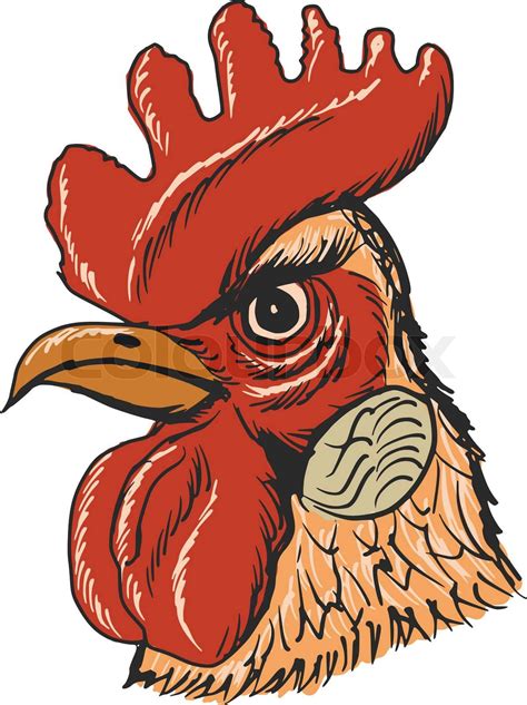 Rooster Stock Vector Colourbox