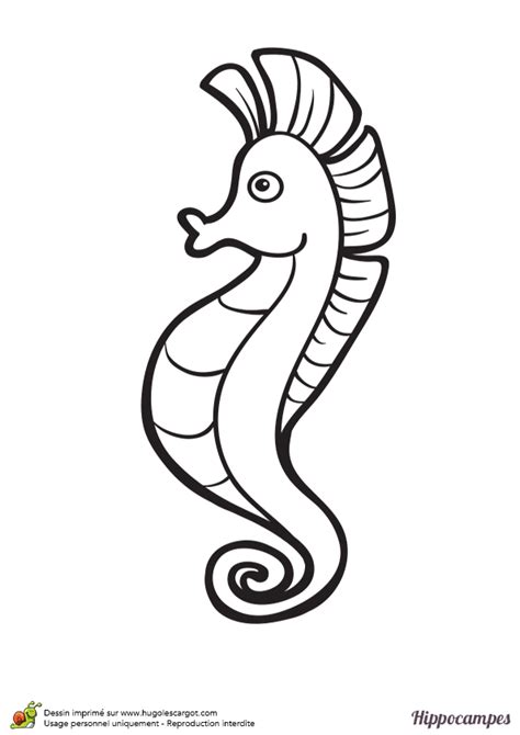 Coloriage Hippocampe Coloring Pages