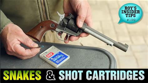 Snakes And Shot Cartridges Youtube