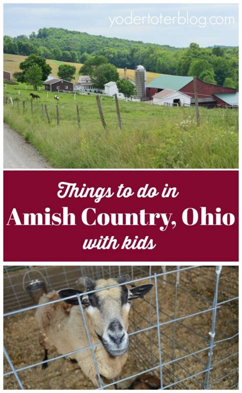 Below are 15 of the best things to do in and around walnut creek, california. 5 things to do in Amish Country, Ohio with kids ...