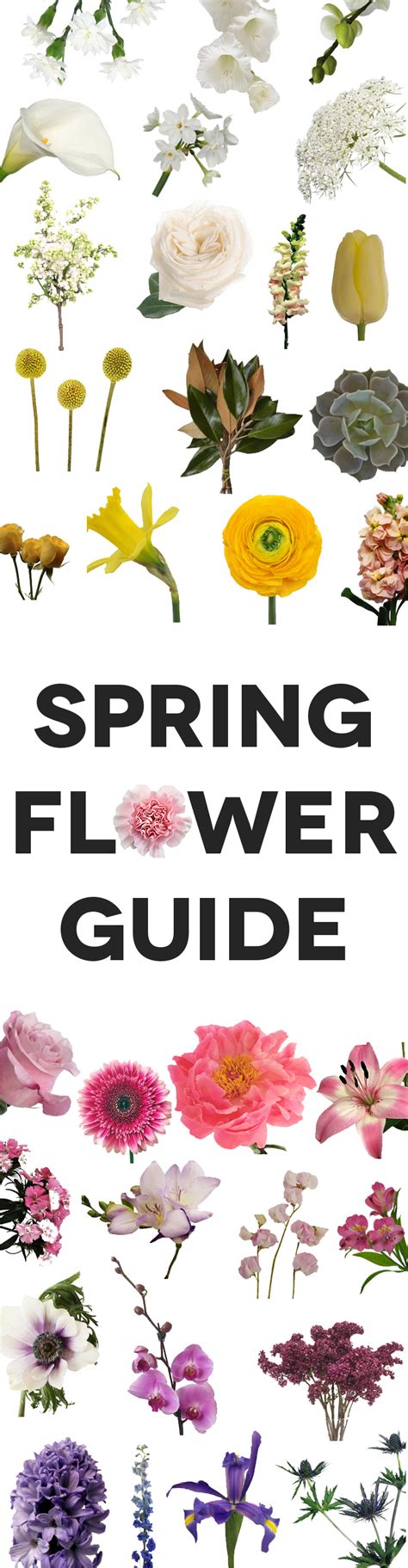 Spring Flowers The Complete Guide A Practical Wedding
