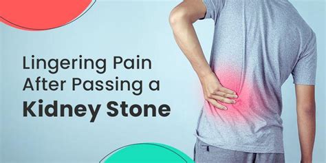 Lingering Pain After Passing A Kidney Stone Causes And Relief