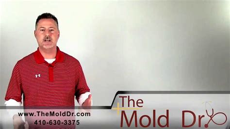 When the claim is accepted and/or denied. Will insurance cover mold removal? - YouTube