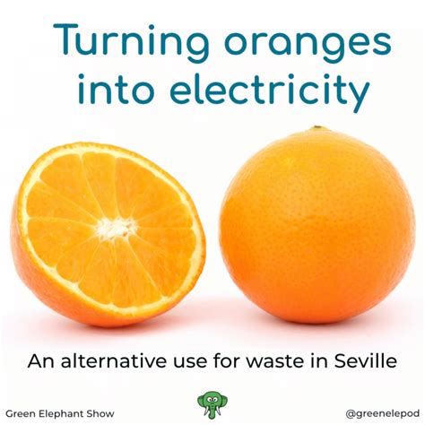 Electricity From Oranges Gydeline