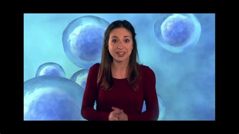 We did not find results for: Science Kids: All about Animal Cells and Plant Cells ...