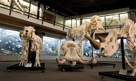 Skeletons Museum Of Osteology Orlando Visit For Two Or Four Up To 43