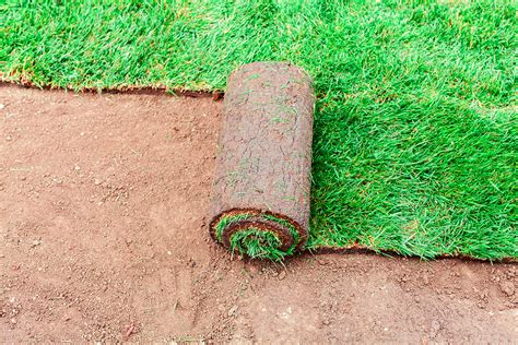 Step By Step Guide For Hiring Sod Installers