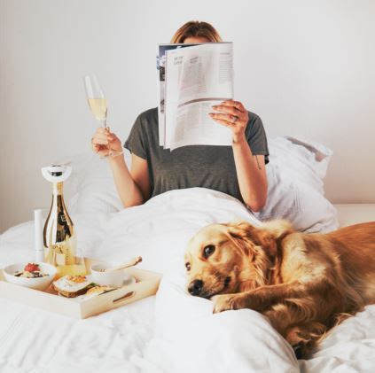 Wine is a very delicate beverage that can be affected by temperature, climate, and time. The zzysh® Wine Revolution: How to Keep Wine Fresh After ...