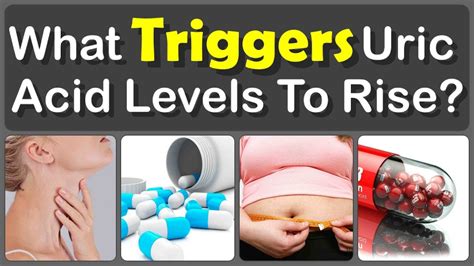 What Triggers Uric Acid Levels To Rise And What Causes High Uric Acid Levels Youtube
