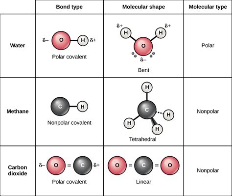 Covalent bonding is the sharing of electrons between atoms. Atoms, Isotopes, Ions, and Molecules: The Building Blocks ...