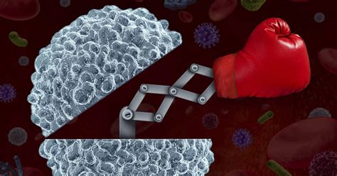 Care guide for ketogenic diet. 7 Foods To Eat To Arm Your Immune System For Battle