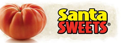 Find and reach procacci brothers' employees by department, seniority, title, and much more. Procacci Brothers' Frank Paone Discusses Santa Sweets ...