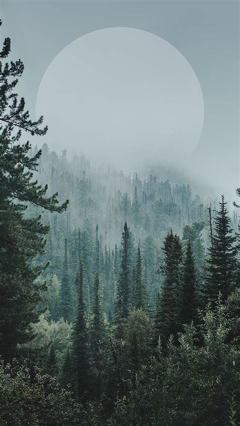 Aesthetic Forest Wallpaper 8 Foggy Forest Wallpapers Wallpaperboat
