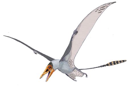 New Species Of Pterosaur From Early Jurassic Period Discovered