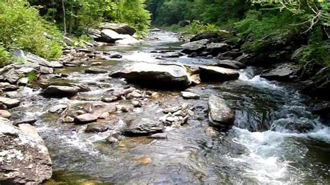River Vs Creek Vs Stream The Differences Between Rivers Streams And Creeks R Water