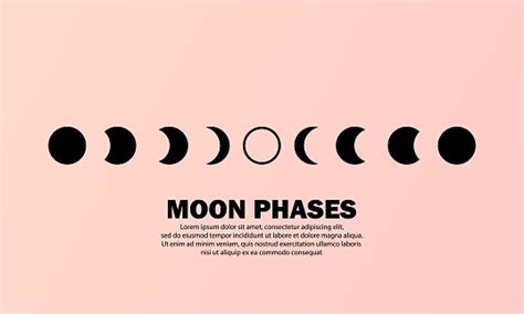 Ikon Fase Bulan Seluruh Siklus Dari Bulan Baru Ke Bulan Purnama Konsep