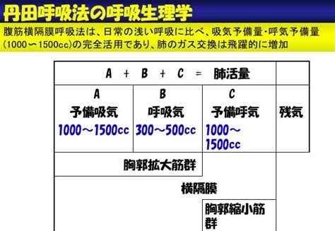 キー上げ 2カラオケガイドあり カイト 嵐 米津玄師 nhkみんなのうた2020ソング 歌詞付きフル full オーケストラ音源. 浦添式禅の呼吸法の原理と筋のスロートレーニング効果 ...