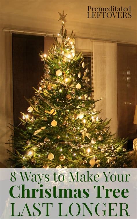 8 Ways To Make Your Christmas Tree Last Longer