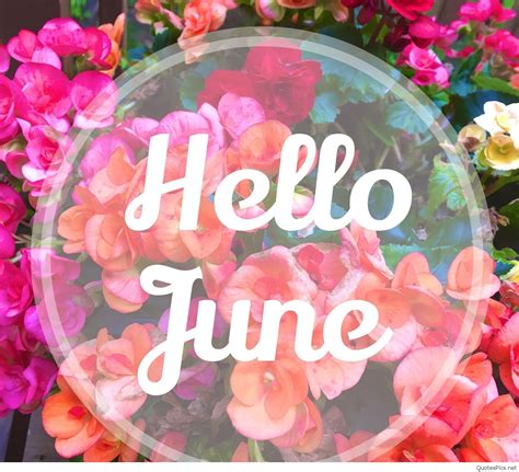 Hello June Pictures Photos And Images For Facebook Tumblr Pinterest