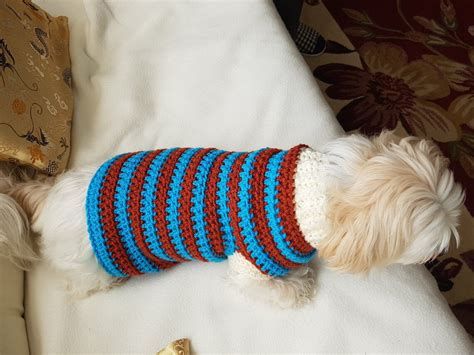 Lou Lou Sporty Dog Sweater Pattern Etsy