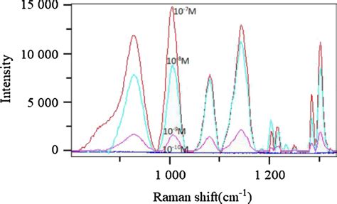 Sers Spectra Of Different Concentrations Of R G Aqueous Solutions